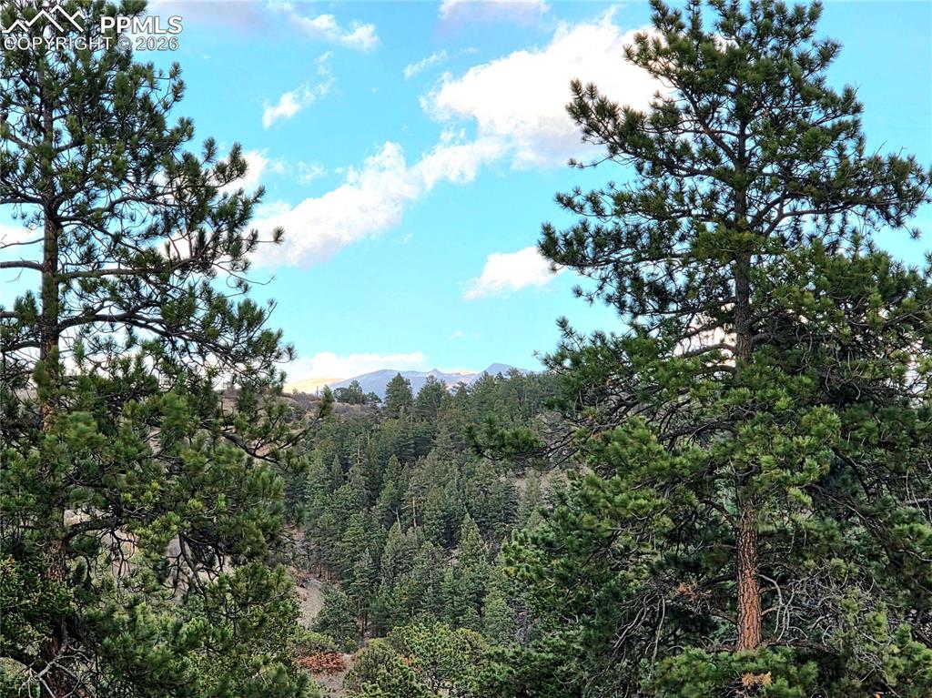 Image 28 of 28: View