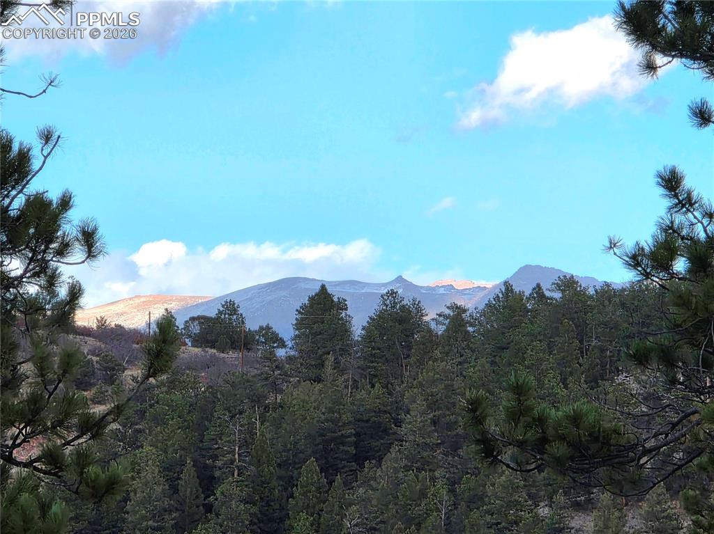 Image 9 of 28: View