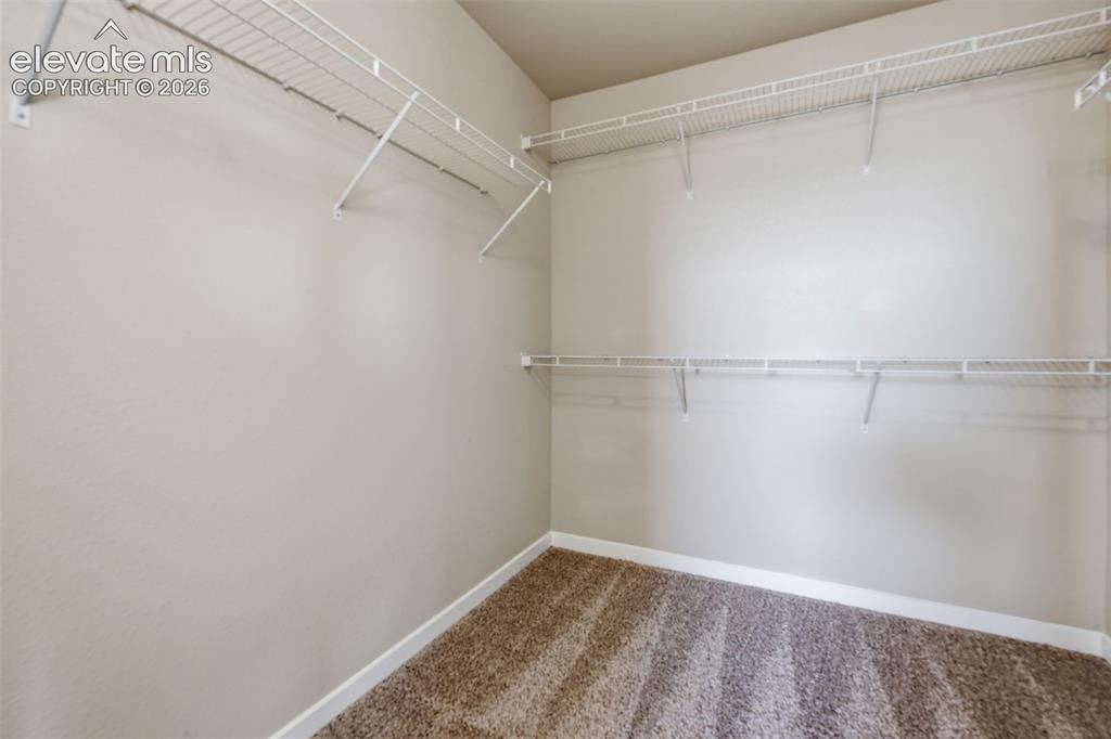 Image 31 of 34: A full lower-level bath makes the finished basement especially functional f