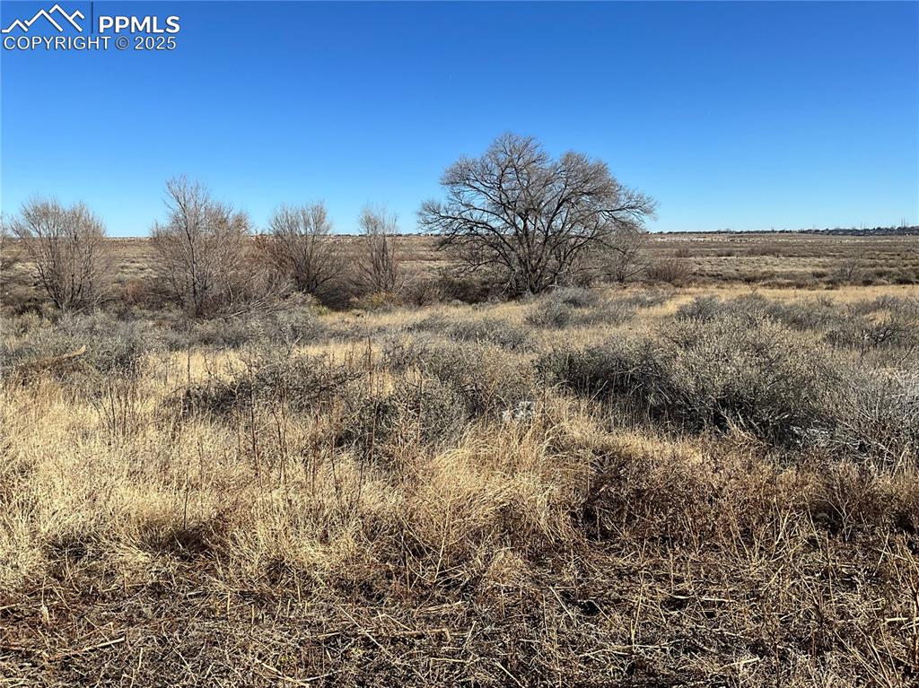 Caption: View of nature with rural landscape