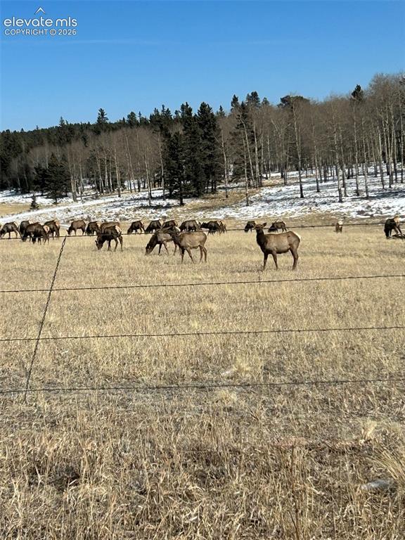 Image 37 of 40: Along County Rd 5