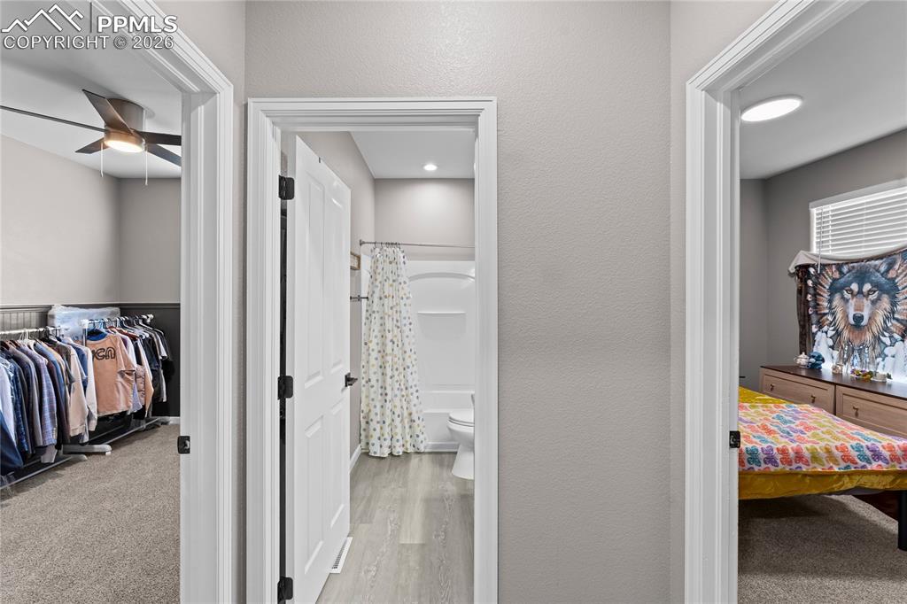 Image 7 of 32: Other