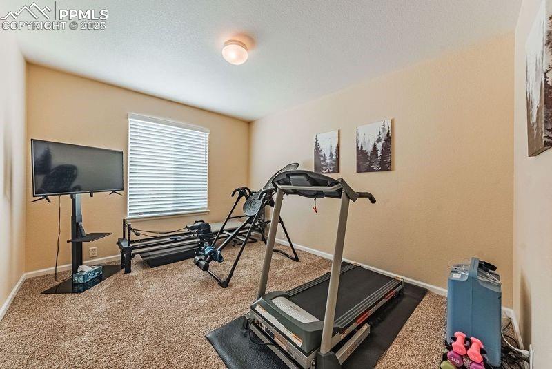 Image 17 of 27: Exercise area with carpet