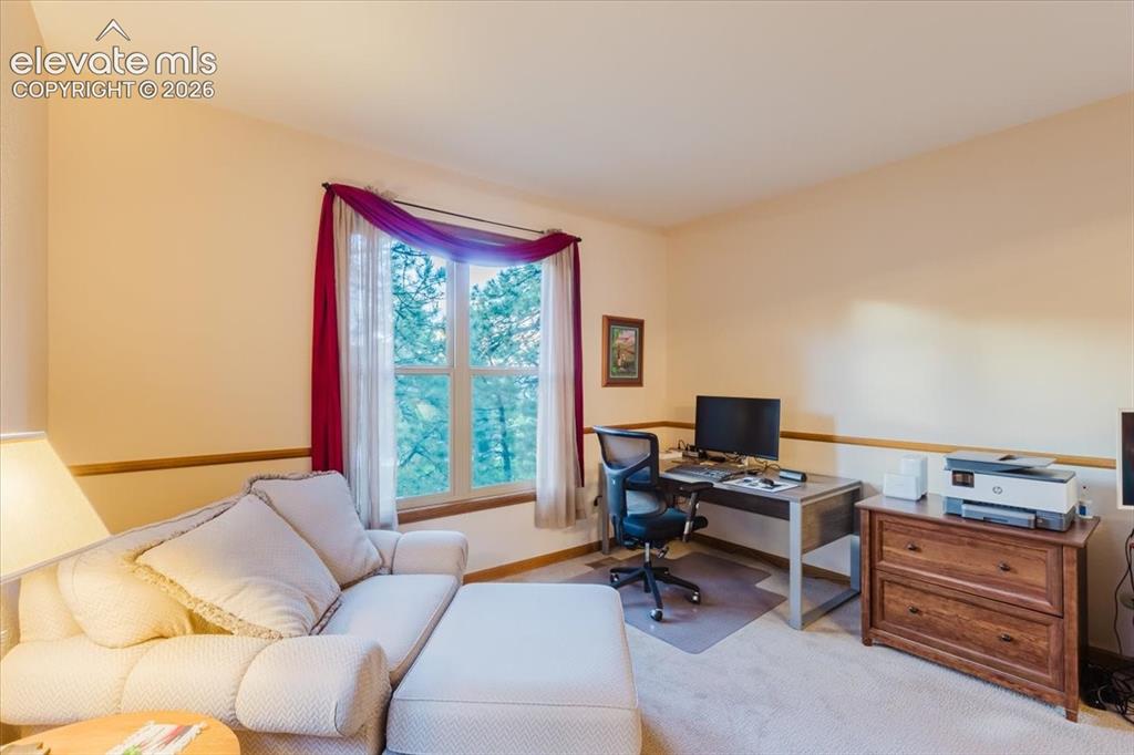 Image 7 of 50: Carpeted room with a multi-pane window, light yellow painted walls, and woo