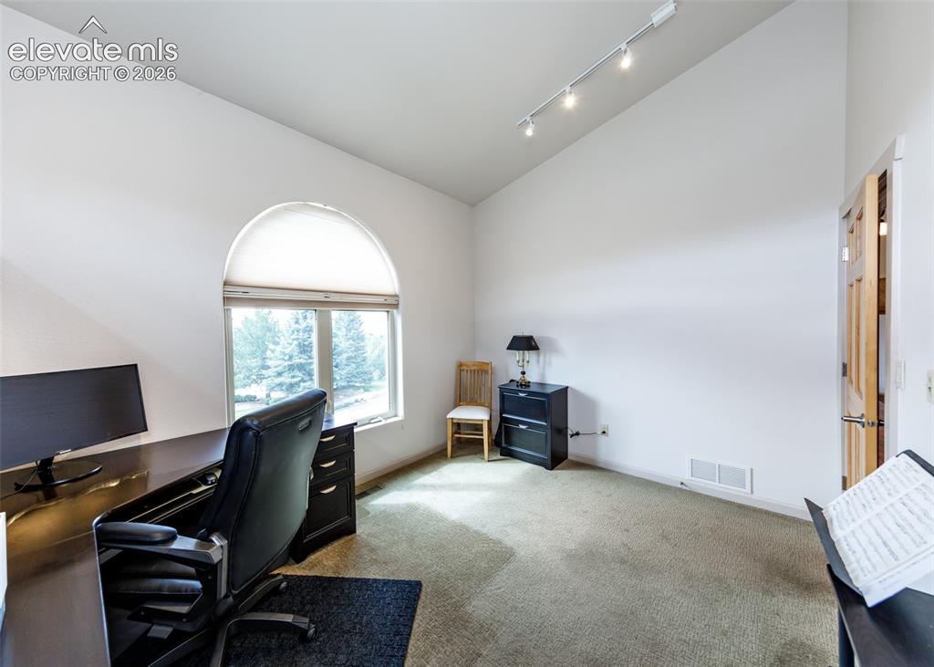 Image 23 of 43: 2nd main level bedroom with vaulted ceiling, track lighting, arched window