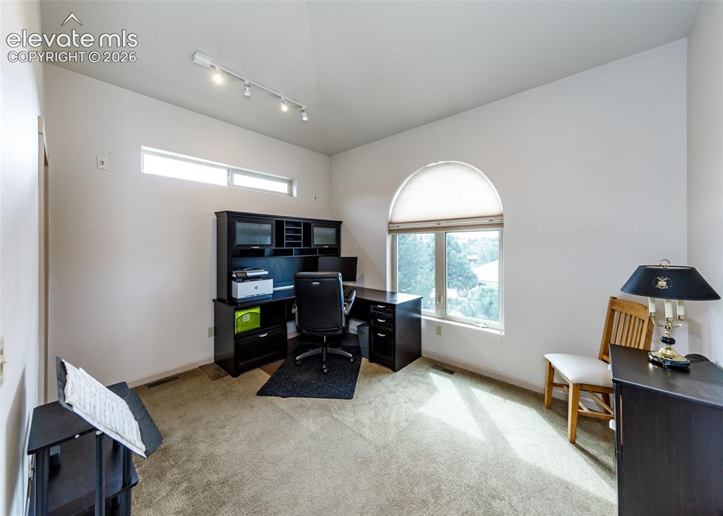 Image 27 of 50: Arched window with light-filtering blind, transom window, track lighting fi