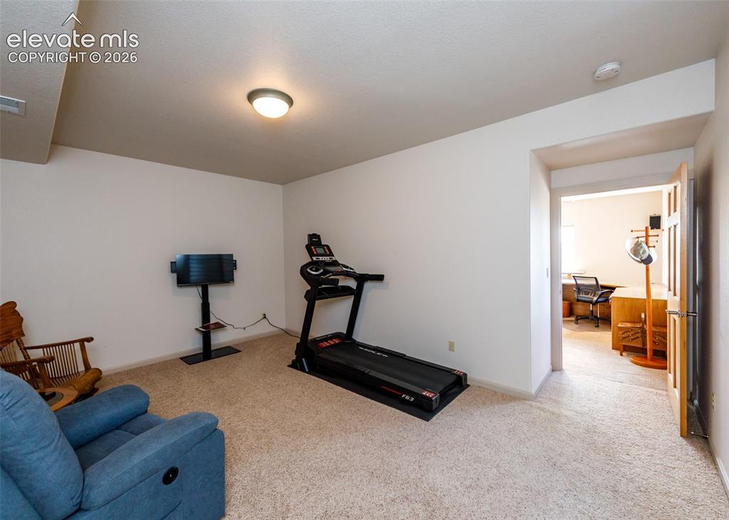 Image 41 of 50: Carpeted room with neutral wall finishes and a flush-mounted ceiling light
