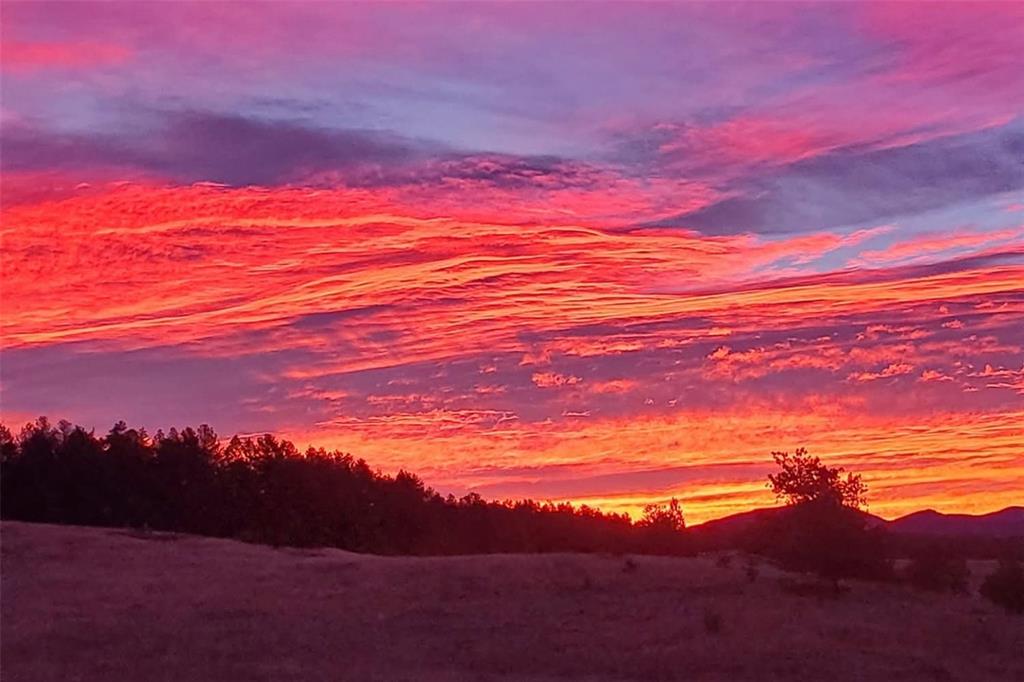 Image 23 of 41: Other