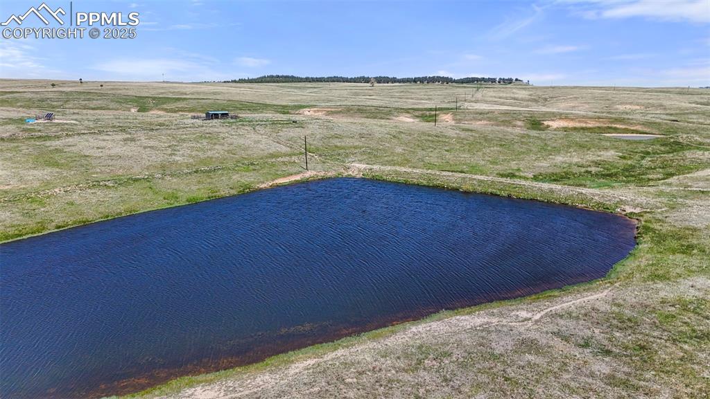 Image 15 of 49: Yard