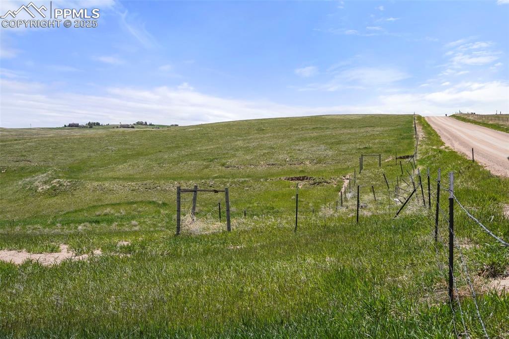 Image 29 of 49: Yard