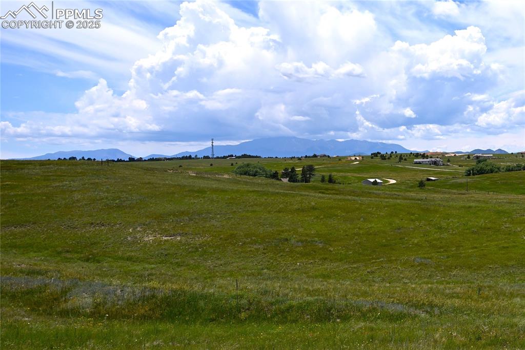 Image 44 of 49: Other