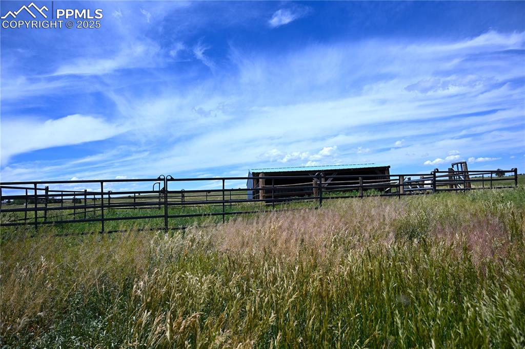 Image 47 of 49: Yard