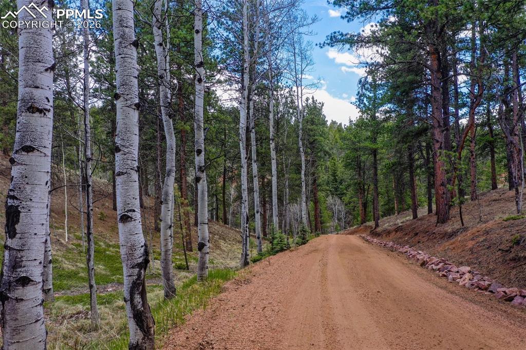 Image 3 of 50: Community