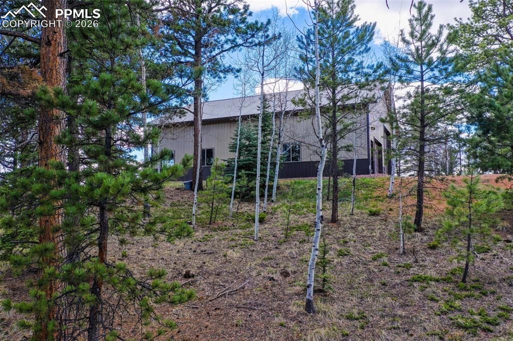 Image 41 of 50: Back of Structure