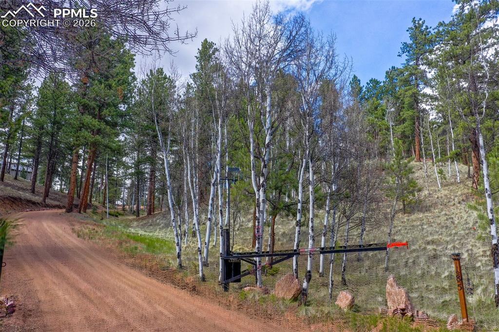 Image 44 of 50: Community