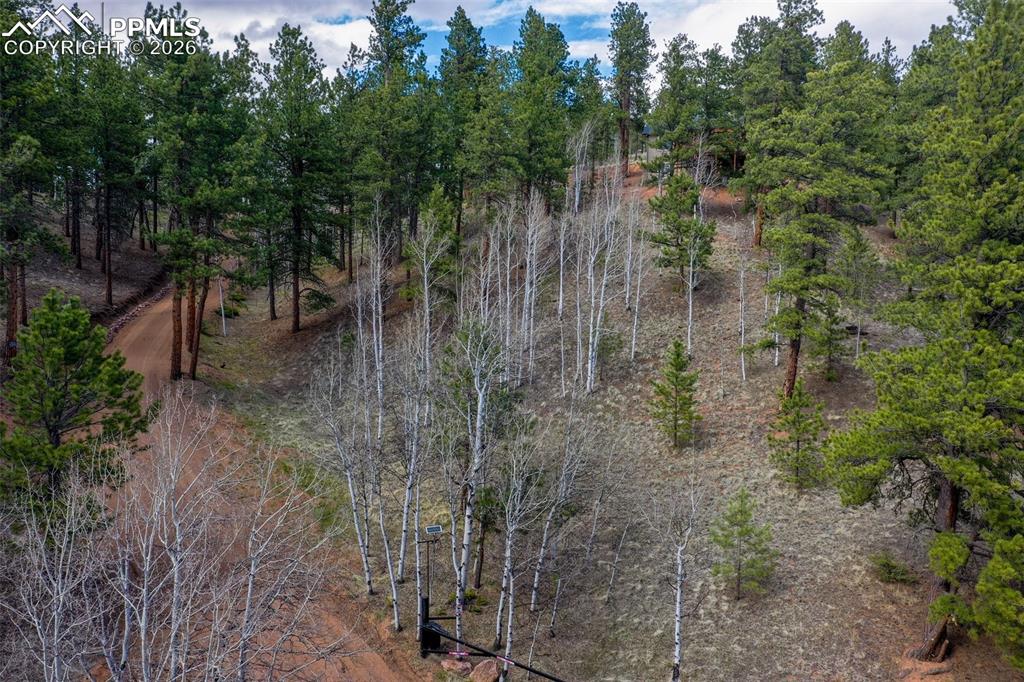 Image 45 of 50: Other