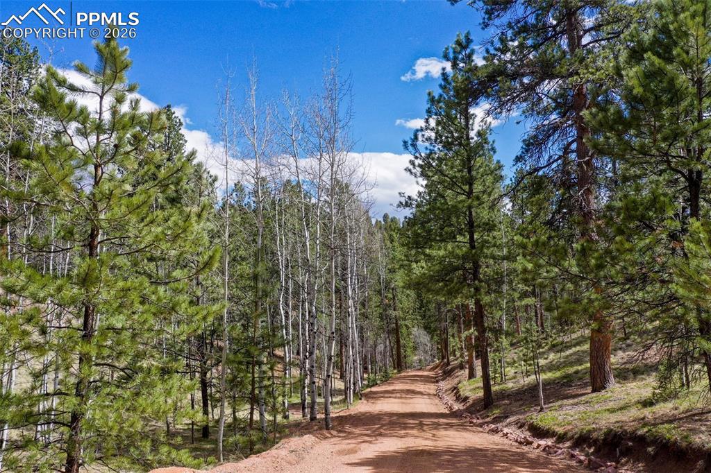 Image 46 of 50: Community