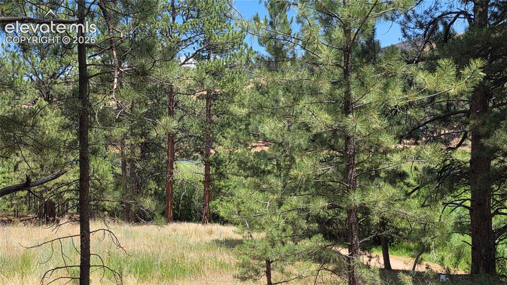Image 8 of 26: Other