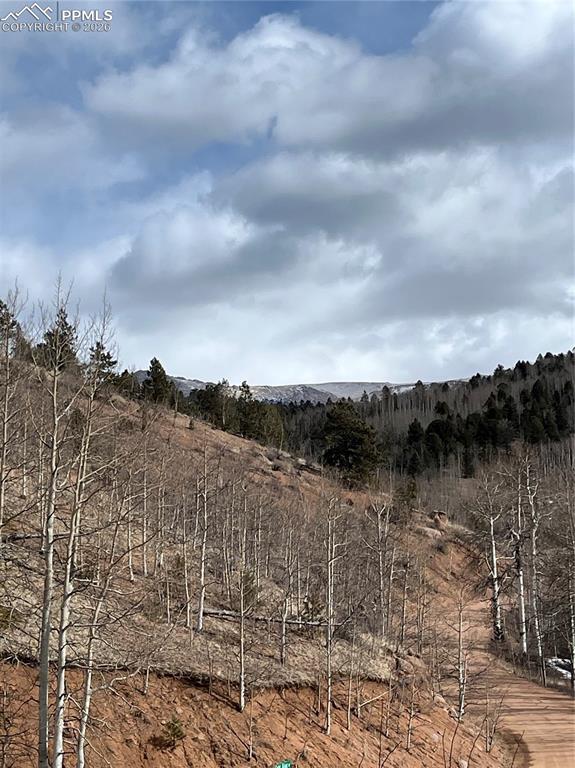 Image 2 of 11: View of tip of Pikes Peak from this 2 acre corner lot!