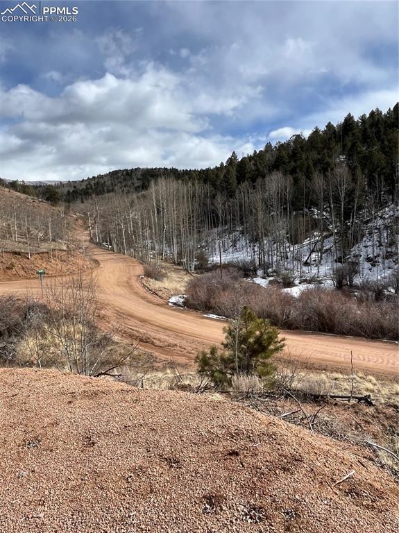 Image 3 of 11: Land across the road has little creek - if you