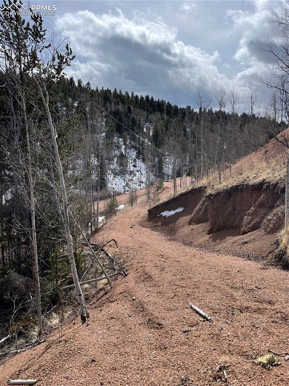 Image 8 of 11: Community