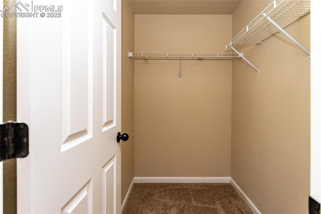 Image 33 of 49: Spacious closet featuring dark colored carpet