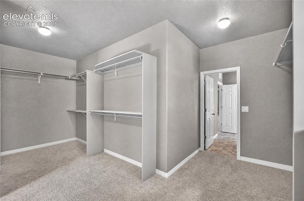 Image 18 of 35: Spacious closet featuring wall-to-wall carpeting, integrated shelving, and
