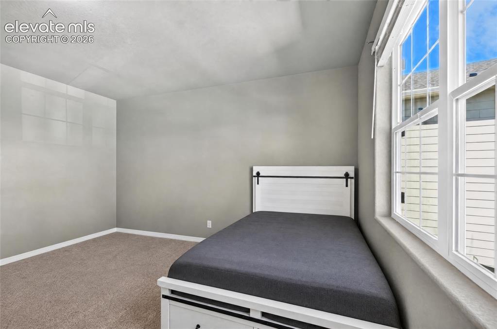 Image 21 of 35: Carpeted flooring with a neutral wall color and multiple windows