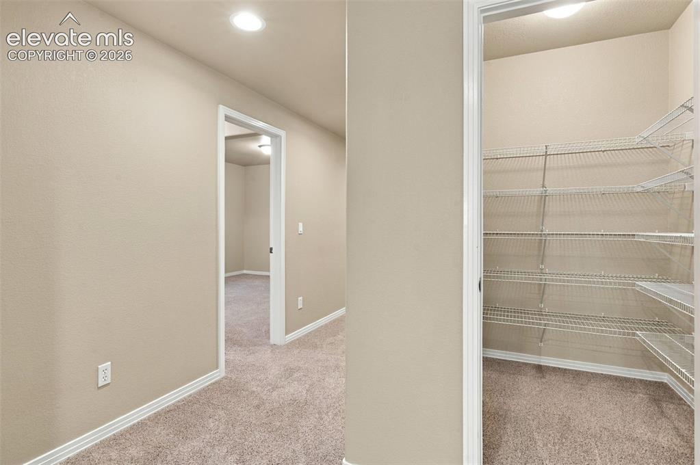 Image 40 of 48: Walk-in storage area featuring multi-tier wire shelving, carpeted flooring,