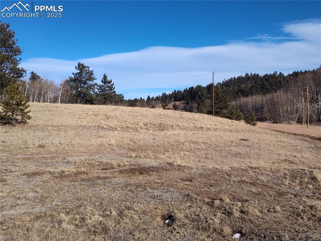 Image 11 of 20: East side of the parcel with level areas. 