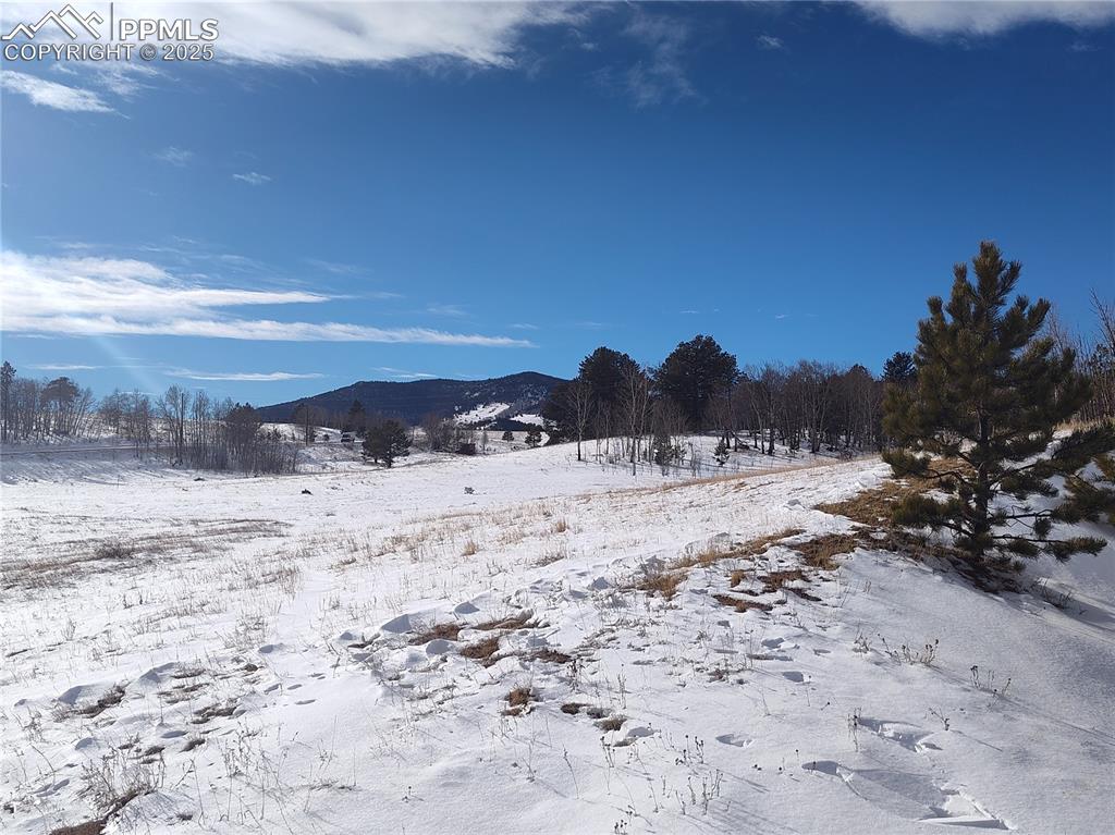 Image 12 of 20: Level and meadowed with mountain views to the north.  