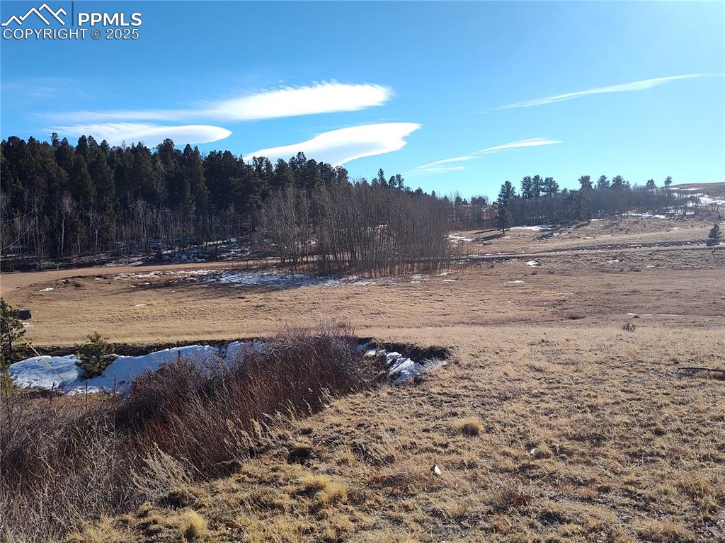 Image 13 of 20: Top of the cut -in looking to the s.w. side with aspen grove cluster. 
