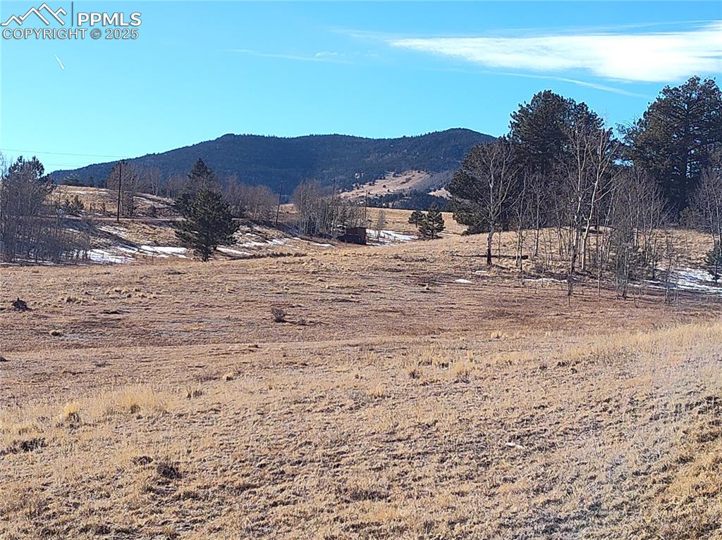 Image 15 of 20: Near Pike National Forest and Eleven Mile Reservoir.