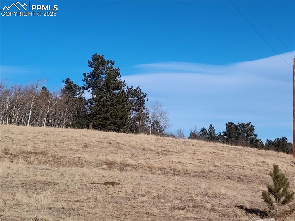 Image 16 of 20: Eastern section of the land offers views and potential building sites. 