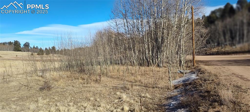 Image 3 of 20: Aspens border the southwestern corner. 