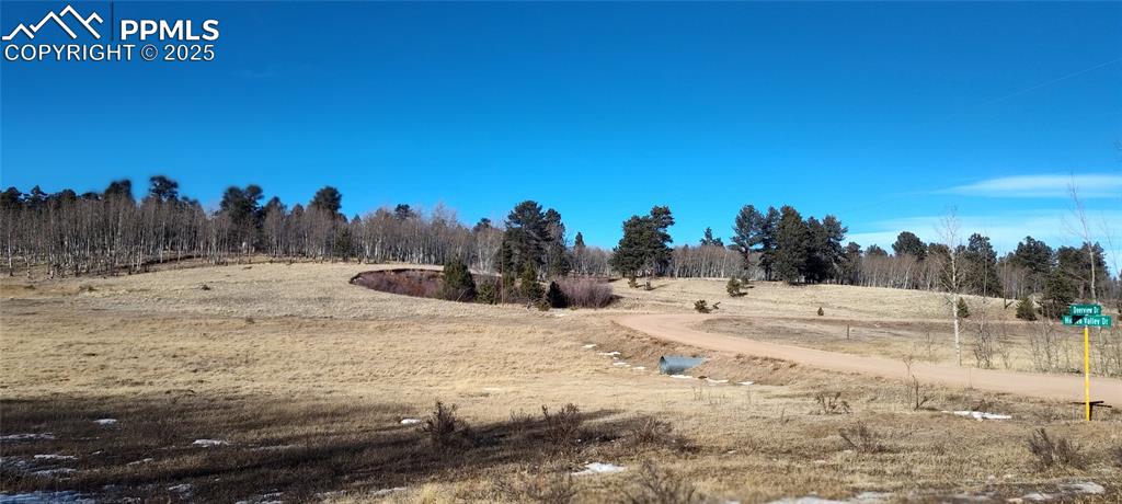 Image 4 of 20: Meadowed from the southern corner.