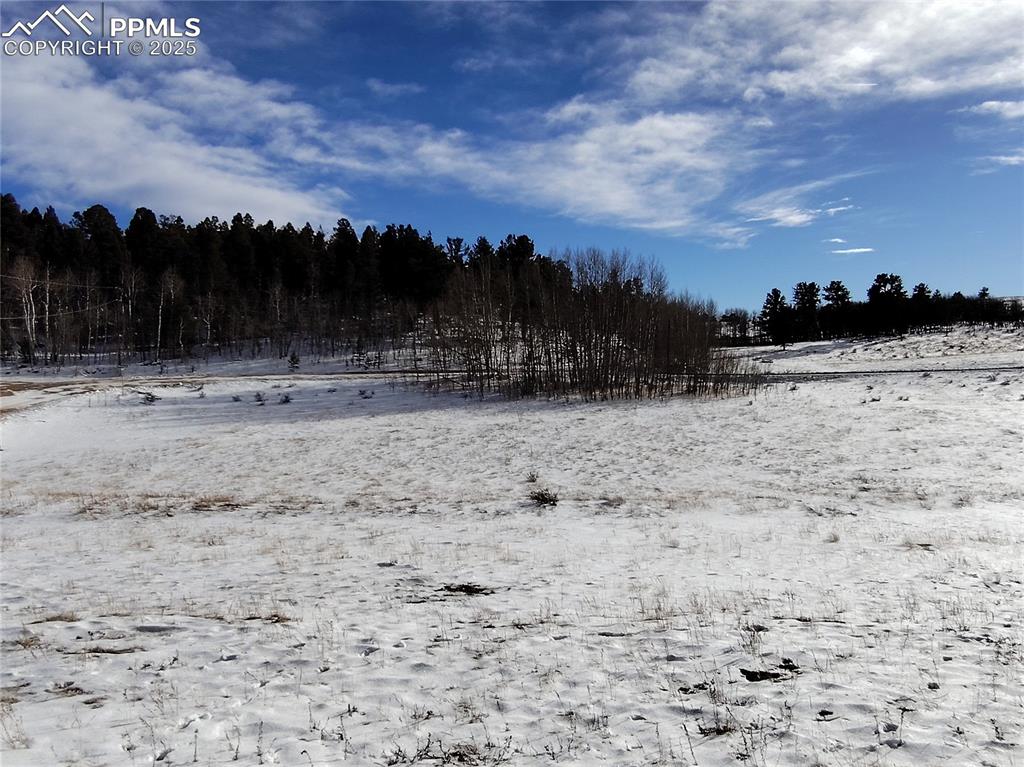 Image 8 of 20: Elk and deer love this valley land. 