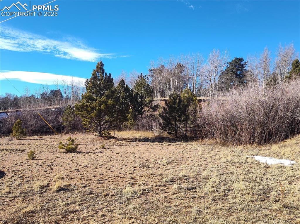 Image 9 of 20: Cut in from the road makes for a level ready pull in. 