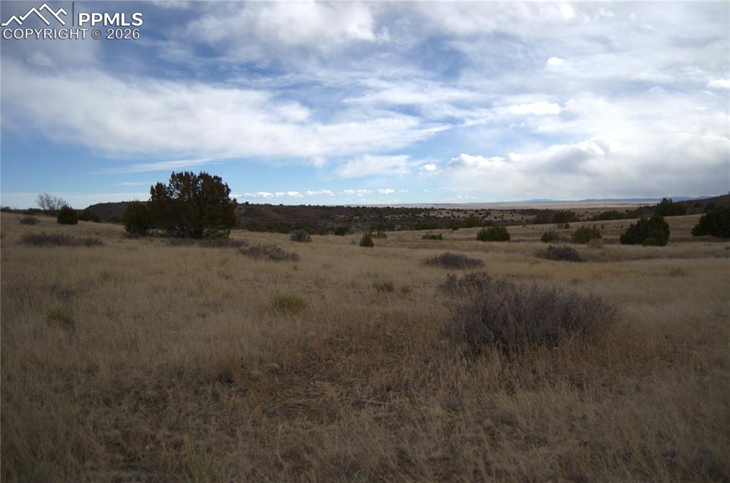 Image 2 of 10: Other