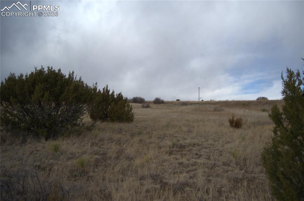 Image 3 of 10: Other