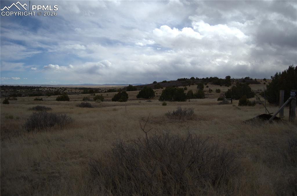 Image 5 of 10: Other