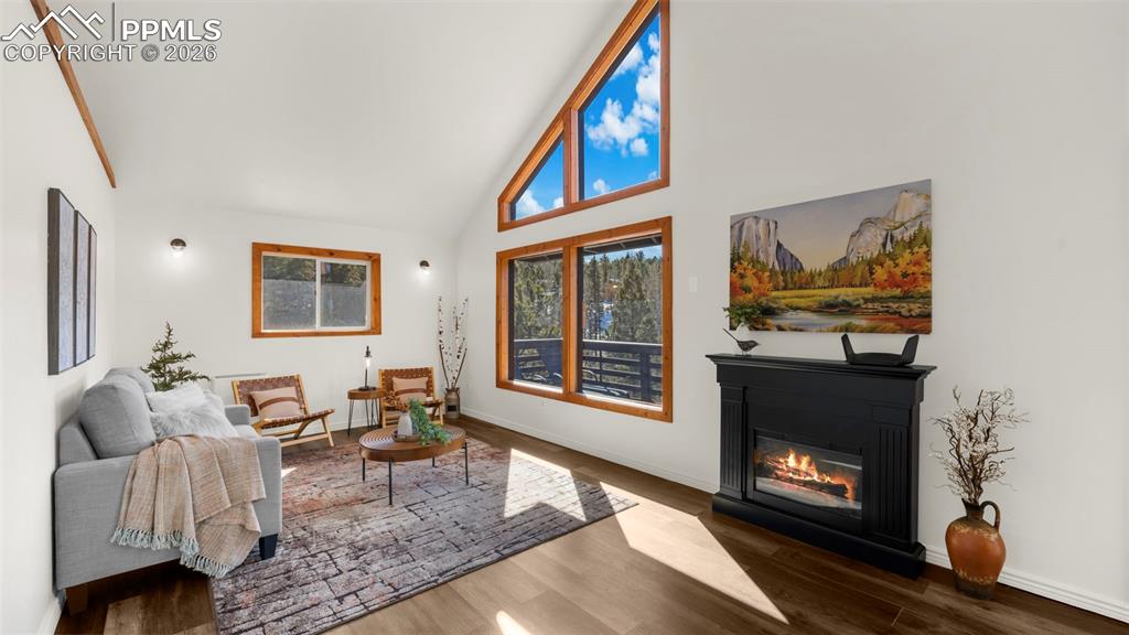 Image 14 of 42: Living Room