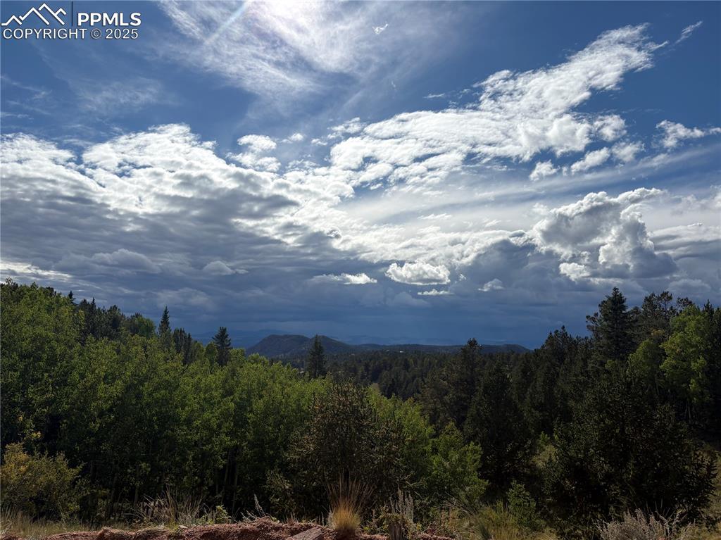 Image 1 of 10: Mountain view featuring a forest