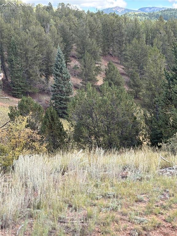 Image 10 of 10: View of woods