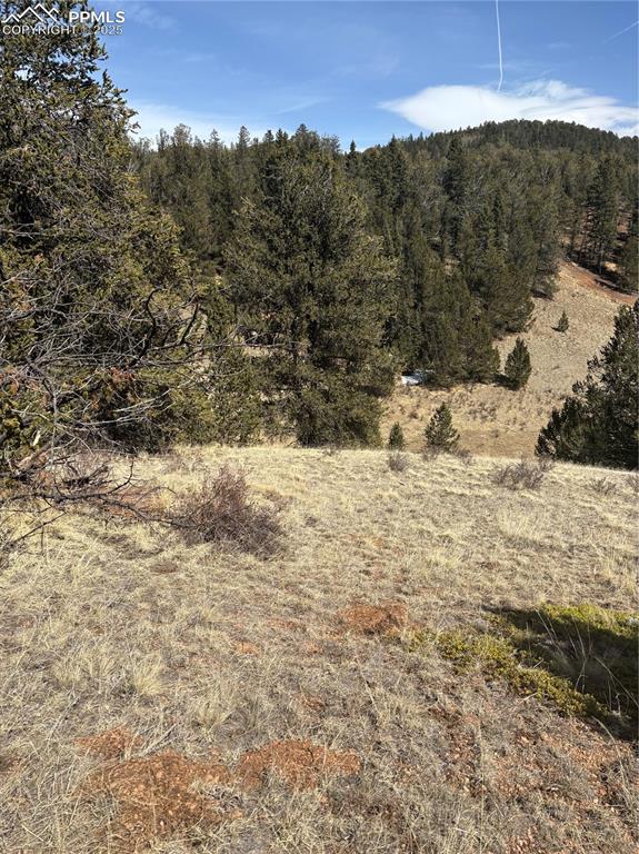 Image 2 of 10: View of nature