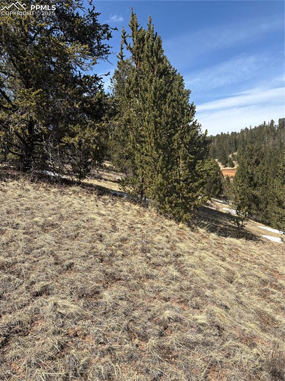 Image 4 of 10: View of undeveloped land