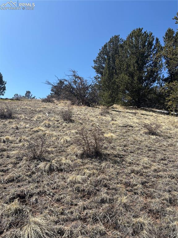 Image 5 of 10: View of undeveloped land with rural landscape