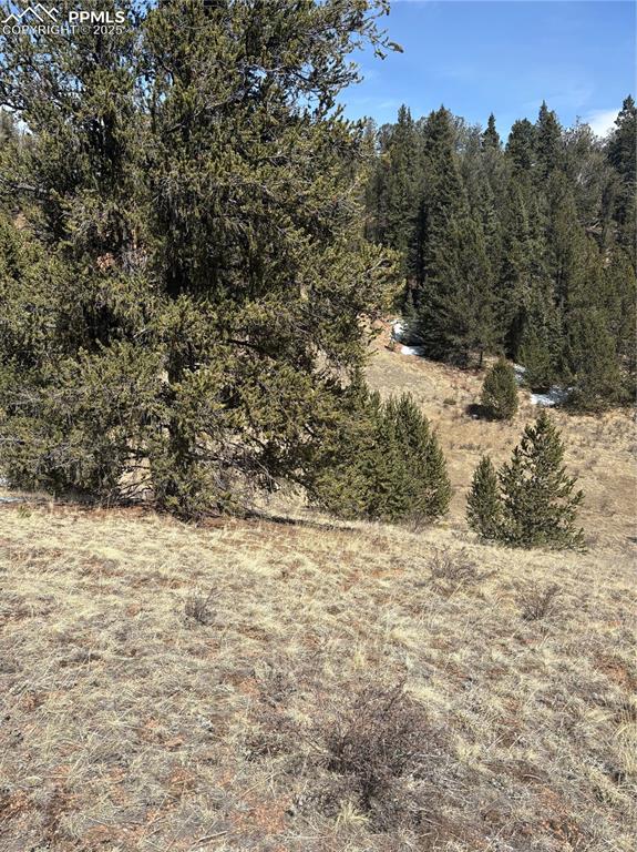 Image 6 of 10: View of local wilderness