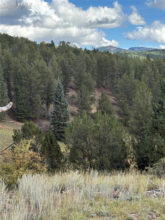 Image 9 of 10: View of mountain background with a heavily wooded area