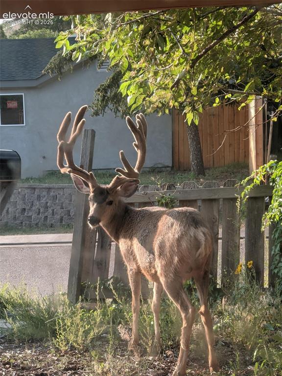 Image 42 of 47: Wildlife sitings from the property